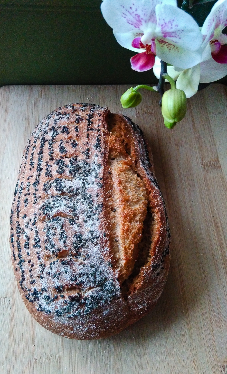 Kamut Whole Wheat Ricotta Bread for Yippee The Fresh Loaf